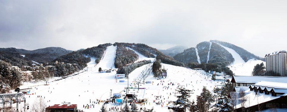 img_yongpyongski01.png